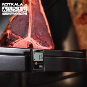 دیتالاگر دما و رطوبت تستو TESTO 174H 174T